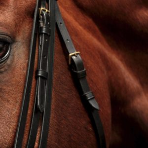 Headstalls