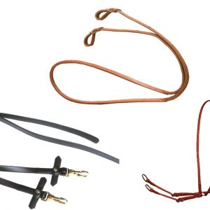 Reins